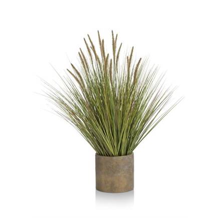 Coco Maison Pennisetum Grass plant H99cm